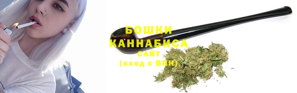 твердый Майский