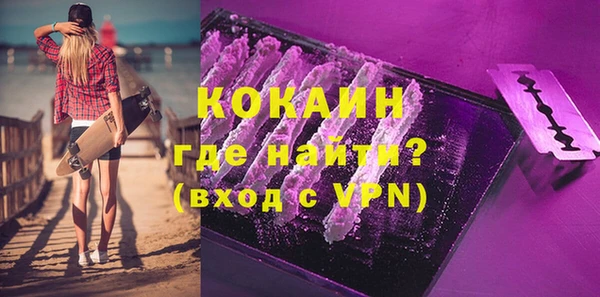 индика Медногорск