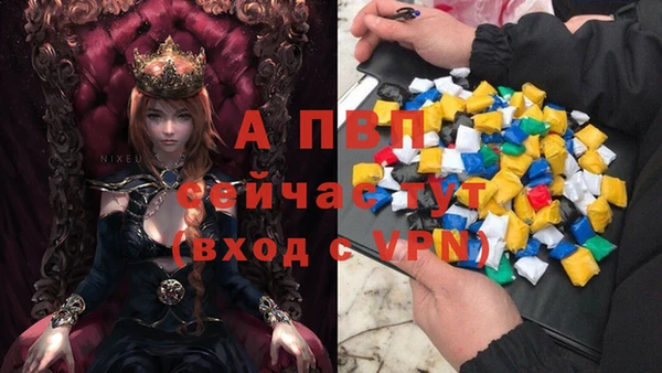 твердый Майский